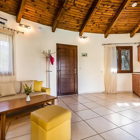 Holidays & Hotel 5*
